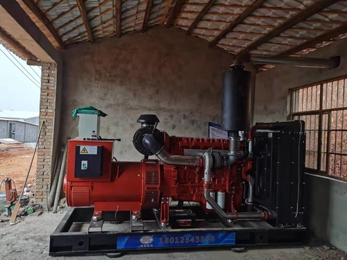 Derniers blogs de l'entreprise sur Le groupe électrogène 400KW diesel soit installé dans l'usine d'aviculture