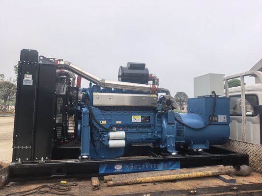 Un bon prix. Générateur diesel ouvert/à l'épreuve du son (250 KVA) de 200 kW centrée sur le concessionnaire en ligne